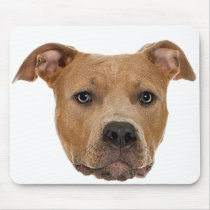 Pitbull Dog mousepads by DogShop Pitbull Dog mousepads