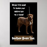 Pitbull Dog on a Chain Posters