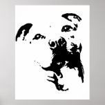 Pitbull Dog Posters