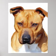 Pitbull dog print