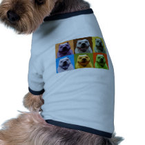 Pitbull pet clothing