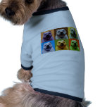 Pitbull pet clothing