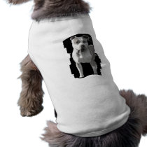 pitbull dog shirt pet clothing