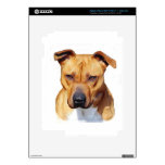 Pitbull dog skin for iPad 3