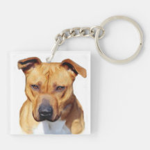 Pitbull dog square acrylic key chains