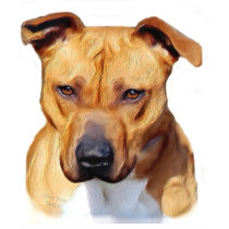 Pitbull fitted t-shirt