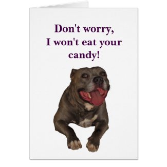 Pitbull Funny Easter Card Greeting Card