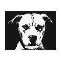 Pitbull Gifts - Postcard by pupaya Pitbull Gifts - Postcard