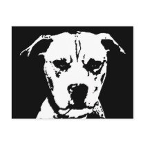Pitbull Geschenke - Postkarte postkarten