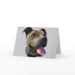 Pitbull greeting card