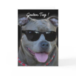 Pitbull greeting card