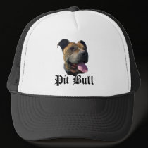 Pitbull hat