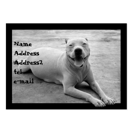Pitbull in black and white business card (front side)