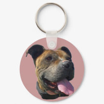 Pitbull keychain