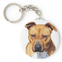 Pitbull keychain