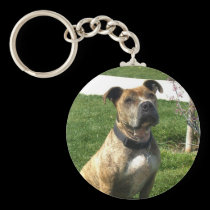 Pitbull keychain keychains