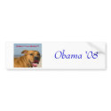 Pitbull lipstick, Obama '08 bumper stickers