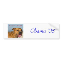 Pitbull lipstick, Obama '08 bumper stickers