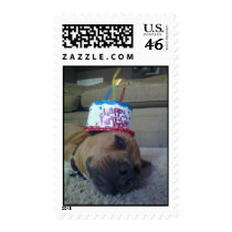 Pitbull Love 4 Postage Stamp