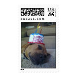 Pitbull Love 4 postage