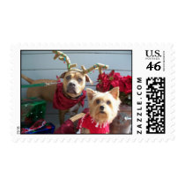 Pitbull Love 6 Stamp