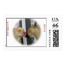 Pitbull Love postage stamps by dln1974 Pitbull Love postage stamps