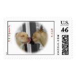 Pitbull Love postage stamps