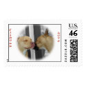 Pitbull Love postage stamps by dln1974 Pitbull Love postage stamps