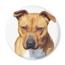 Pitbull magnet