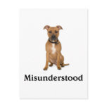 Pitbull - Misunderstood Post Cards