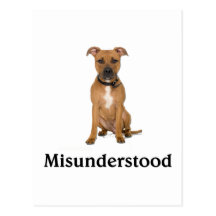 Pitbull - Misunderstood Post Cards