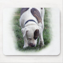 Pitbull mix mousepad. mousepads