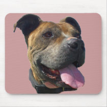 Pitbull mousepad