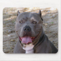 Pitbull Mousepad mousepads