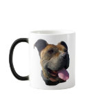 Pitbull Mug