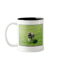 Pitbull mug by ritmoboxer Pitbull mug