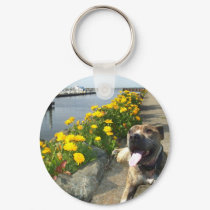 Pitbull on a Spring day keychain