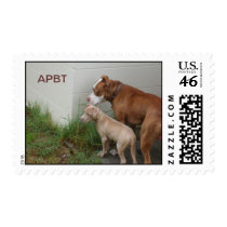 PITBULL POSTAGE