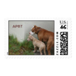 PITBULL POSTAGE postage