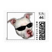 Pitbull postage