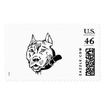 pitbull postage