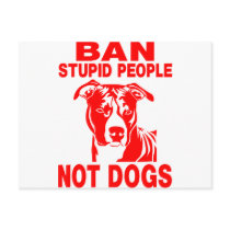 PITBULL POSTCARDS