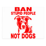 PITBULL POSTCARDS