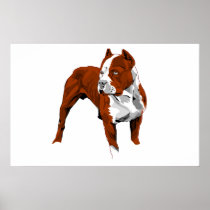 Pitbull print