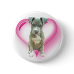 Pitbull puppy button