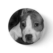 Pitbull puppy button
