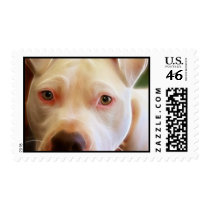 Pitbull Puppy Dog Eyes Art Photography Stamp