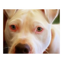 Pitbull Puppy Dog Eyes Art Photography posters by KahunaLuna Pitbull Puppy Dog Eyes Art Photography posters