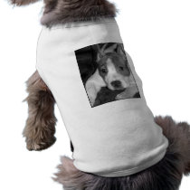 pitbull puppy dog shirt pet clothing by ritmoboxer pitbull puppy dog shirt pet clothing