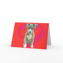 Pitbull puppy greeting card